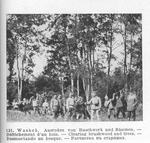 Russian POWs Cutting down Trees at Wasbek