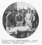Slaughtering Pigs at Danzig