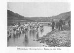 POWs Swimming at Koenigstein
