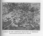 Armenian Skeletons at Erzingan