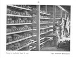 Bread Warehouse at Josefstadt