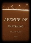 Avenue of Vanishing by William Olsen