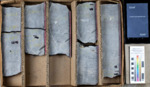 21055314200000 TREECE, GLENN ET AL 1-16 by MGRRE