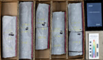 21055314200000 TREECE, GLENN ET AL 1-16 by MGRRE