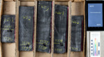 21055314200000 TREECE, GLENN  ET AL 1-16