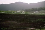Modernized agriculture in Sisakht, Boir Ahmad in 2006 by Reinhold Loeffler