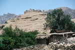 Ruins of tribal chief's fort in Boir Ahmad, Qale Dokhtar by Reinhold Loeffler