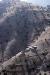 A small village on a hillside in inner Boir Ahmad by Reinhold Loeffler
