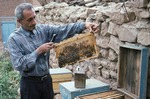 Beekeeping by Reinhold Loeffler