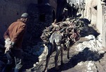 Firewood collected for cooking and milk processing in Boir Ahmad by Reinhold Loeffler