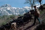 Shepherds with goats in a herding outpost in Boir Ahmad by Reinhold Loeffler
