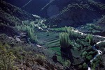River valley early spring, Boir Ahmad by Reinhold Loeffler
