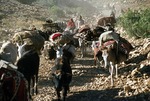 Transhumance pastoralists, in Boir Ahmad on migration by Reinhold Loeffler