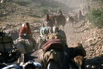 Transhumance pastoralists in Boir Ahmad on migration by Reinhold Loeffler