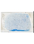 MGRRE_ThinSections_05_A_23