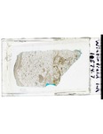 MGRRE_ThinSections_01_A_57