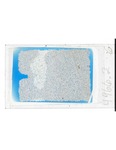 MGRRE_ThinSections_MGRRE_118_67