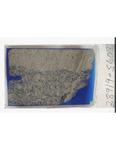 MGRRE_ThinSections_MGRRE_13_87