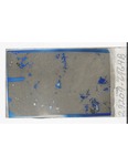 MGRRE_ThinSections_MGRRE_13_124