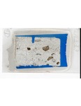 MGRRE_ThinSections_MGRRE_14_103