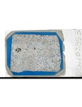 MGRRE_ThinSections_MGRRE_14_120