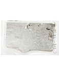 MGRRE_ThinSections_MGRRE_17_97