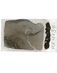 MGRRE_ThinSections_MGRRE_18_30