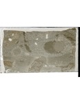 MGRRE_ThinSections_MGRRE_18_92