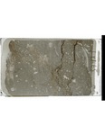 MGRRE_ThinSections_MGRRE_19_36