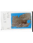 MGRRE_ThinSections_MGRRE_24_17