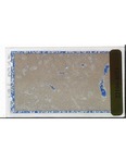 MGRRE_ThinSections_MGRRE_34_12
