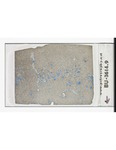 MGRRE_ThinSections_MGRRE_60_9