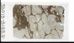 MGRRE_ThinSections_MGRRE-35_12