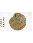 MGRRE_ThinSections_MGRRE-23_4