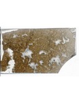 MGRRE_ThinSections_MGRRE-64_3
