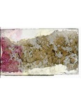 MGRRE_ThinSections_MGRRE-64_5