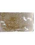MGRRE_ThinSections_MGRRE-64_26