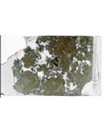 MGRRE_ThinSections_MGRRE-64_63