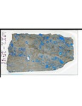 MGRRE_ThinSections_MGRRE-78A_19