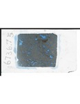 MGRRE_ThinSections_MGRRE-81_1