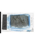 MGRRE_ThinSections_MGRRE-85_18