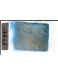 MGRRE_ThinSections_MGRRE-86_14