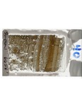 MGRRE_ThinSections_MGRRE-122_16