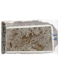 MGRRE_ThinSections_MGRRE-122_22
