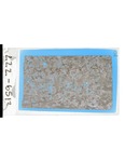 MGRRE_ThinSections_MGRRE-79A_10