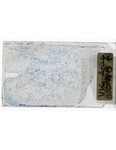 MGRRE_ThinSections_07-A_2