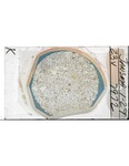 MGRRE_ThinSections_07-A_61