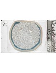 MGRRE_ThinSections_07-A_82