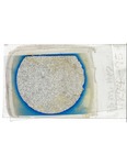 MGRRE_ThinSections_08-A_65