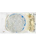 MGRRE_ThinSections_09-A_3